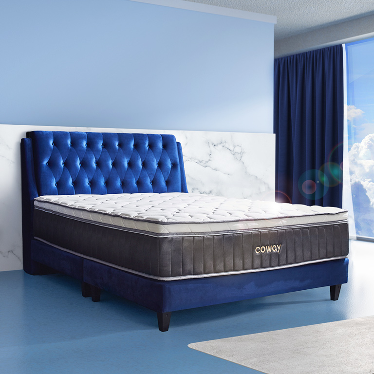 Section 4 #6 lifestyle